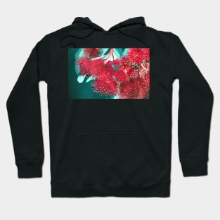 Embroidery Burgundy Red Gum Flowers by Leah Gay Hoodie